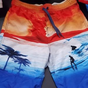 Wes & Willy Boy's Size Medium Swimming trunks/Board Shorts